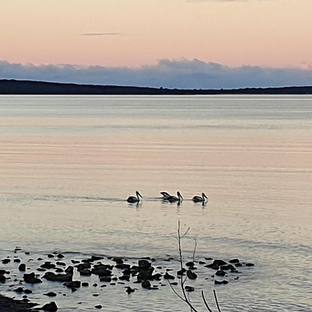 Port Lincoln Caravan Park North Shields المظهر الخارجي الصورة