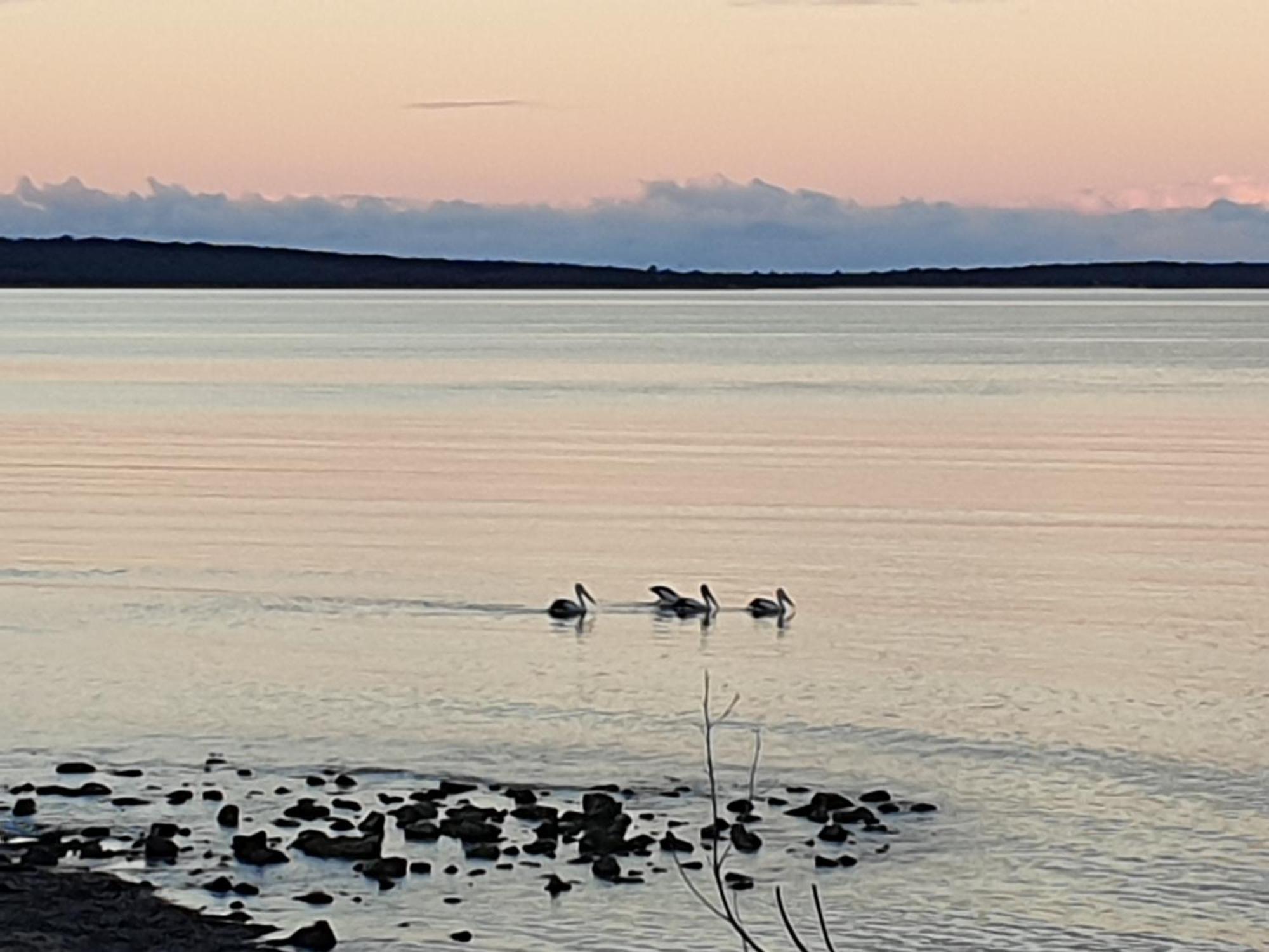 Port Lincoln Caravan Park North Shields المظهر الخارجي الصورة