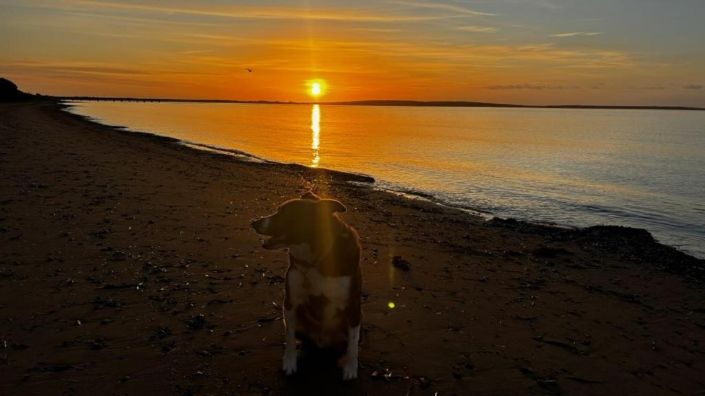 Port Lincoln Caravan Park North Shields المظهر الخارجي الصورة